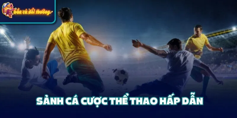 Sảnh cá cược thể thao hấp dẫn